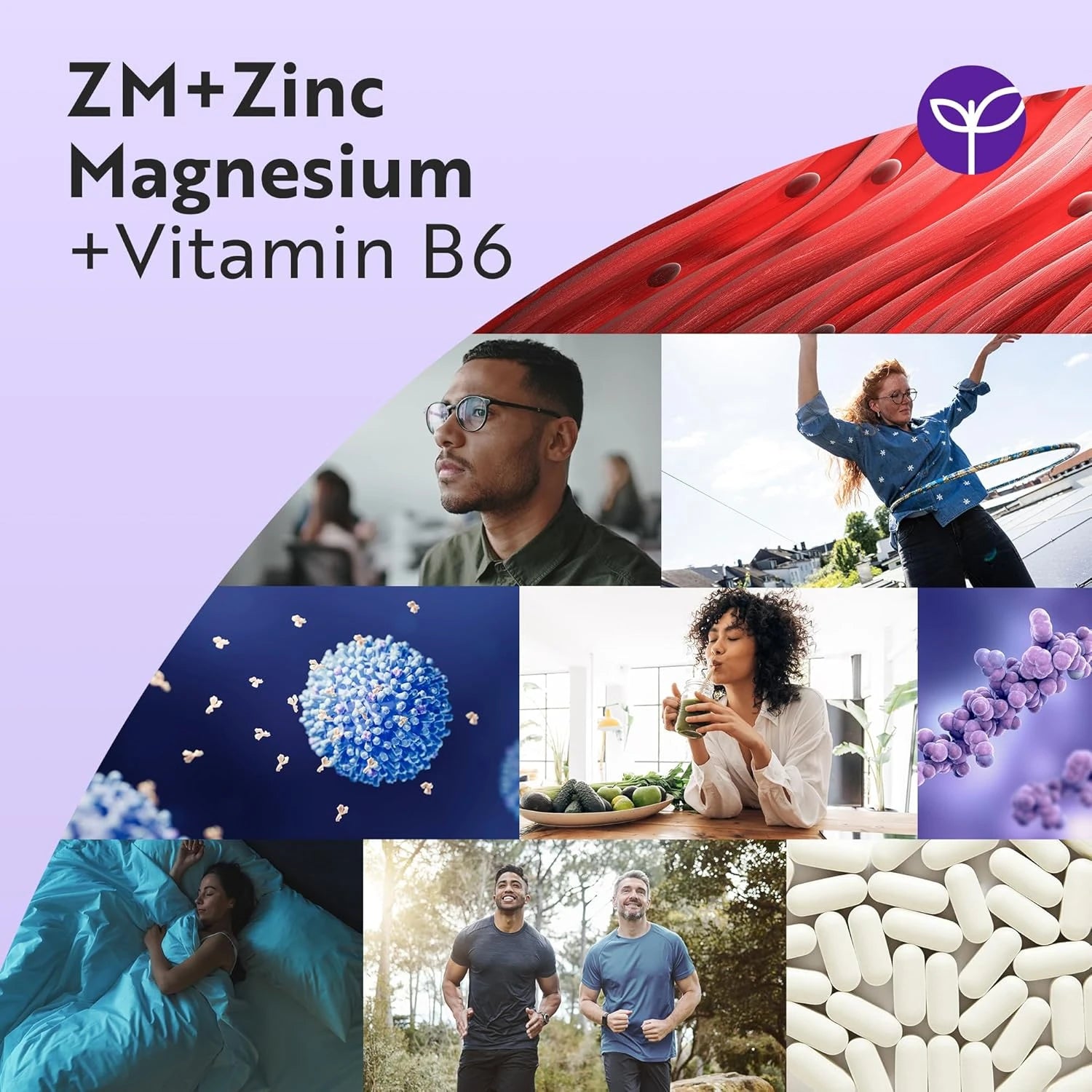 Zinc, Magnesium & Vitamin B6