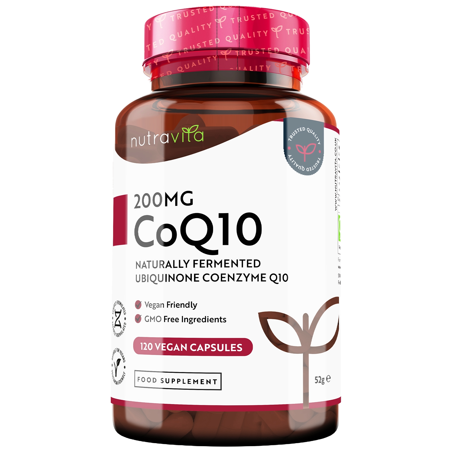 Co Enzyme Q10 (CoQ10)