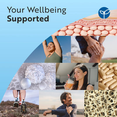 Glucosamine Chondroitin
