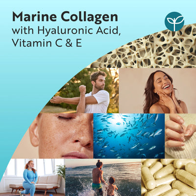 Marine Collagen