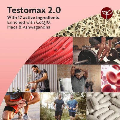 TESTOMAX 2.0 Supplements for Men 210 Vegan Capsules with Ashwagandha KS