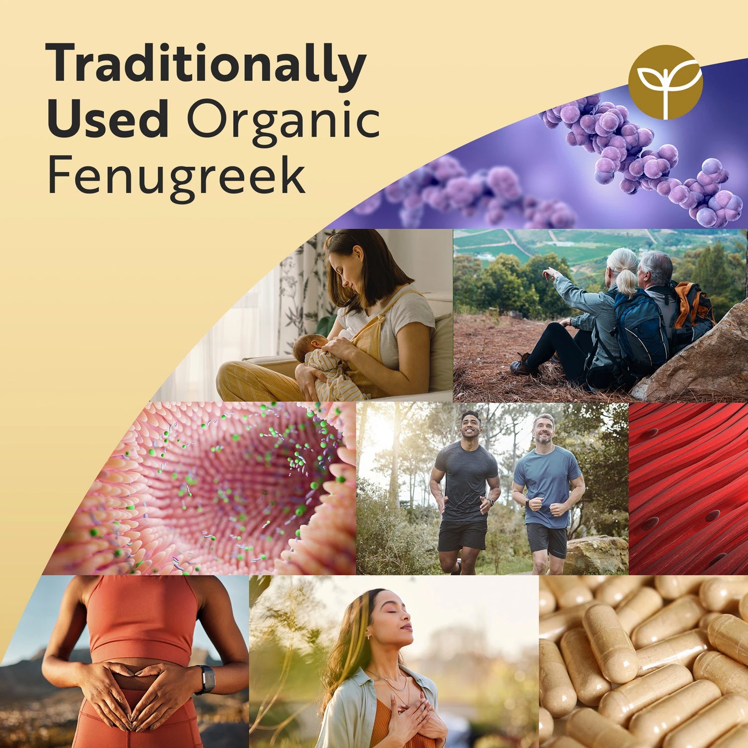 Organic Fenugreek Capsules