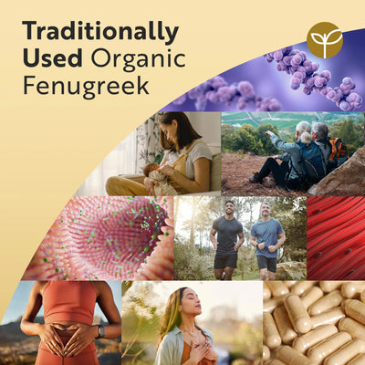 Organic Fenugreek Capsules